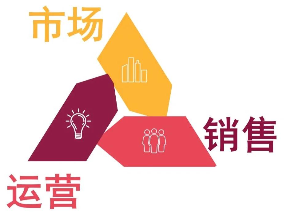 互聯網銷售 連接、轉化與增長的策略核心