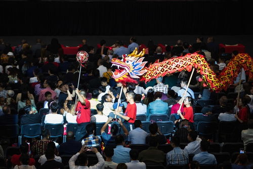 春節(jié)成深化中非文化交流契機(jī)——燈會(huì)與文化藝術(shù)交流活動(dòng)策劃分析